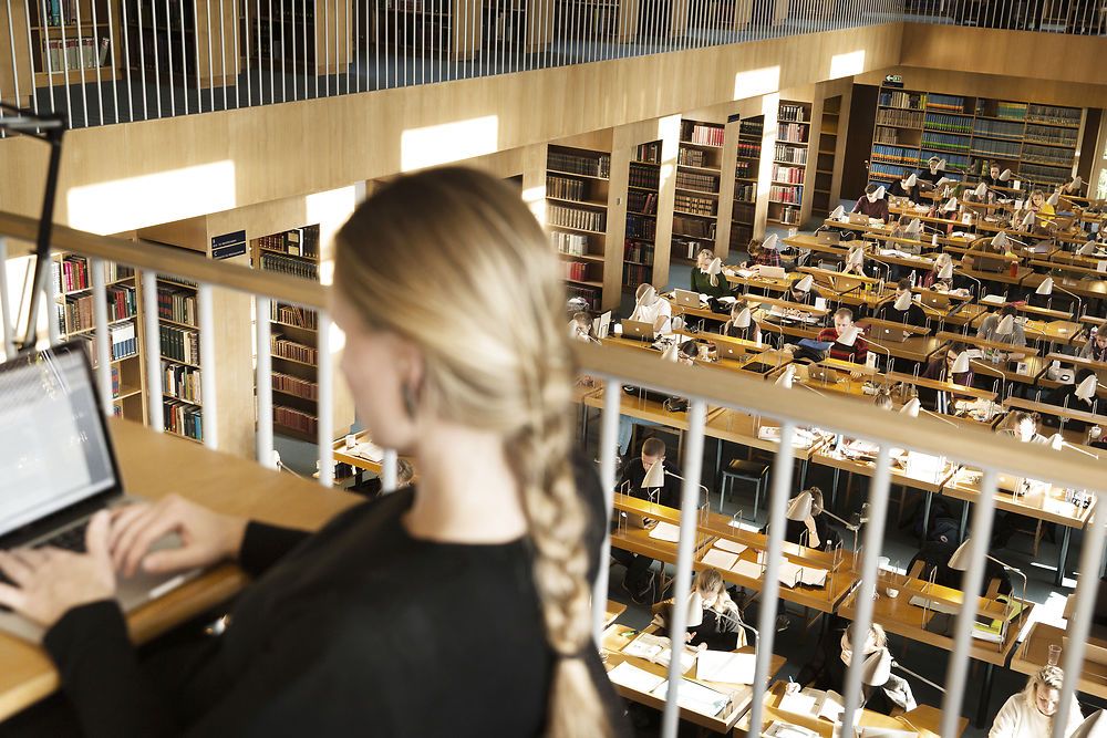 5 điều bạn nên biết trước khi du học Đan Mạch
