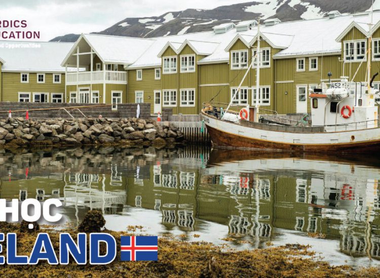 Yêu cầu đầu vào Iceland